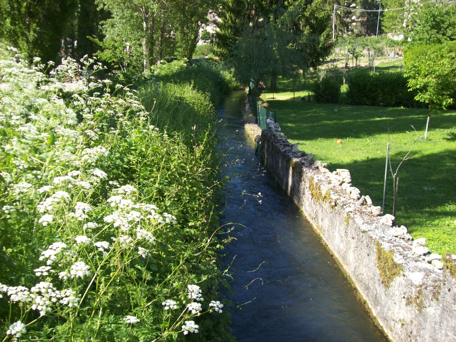 03_Canale1