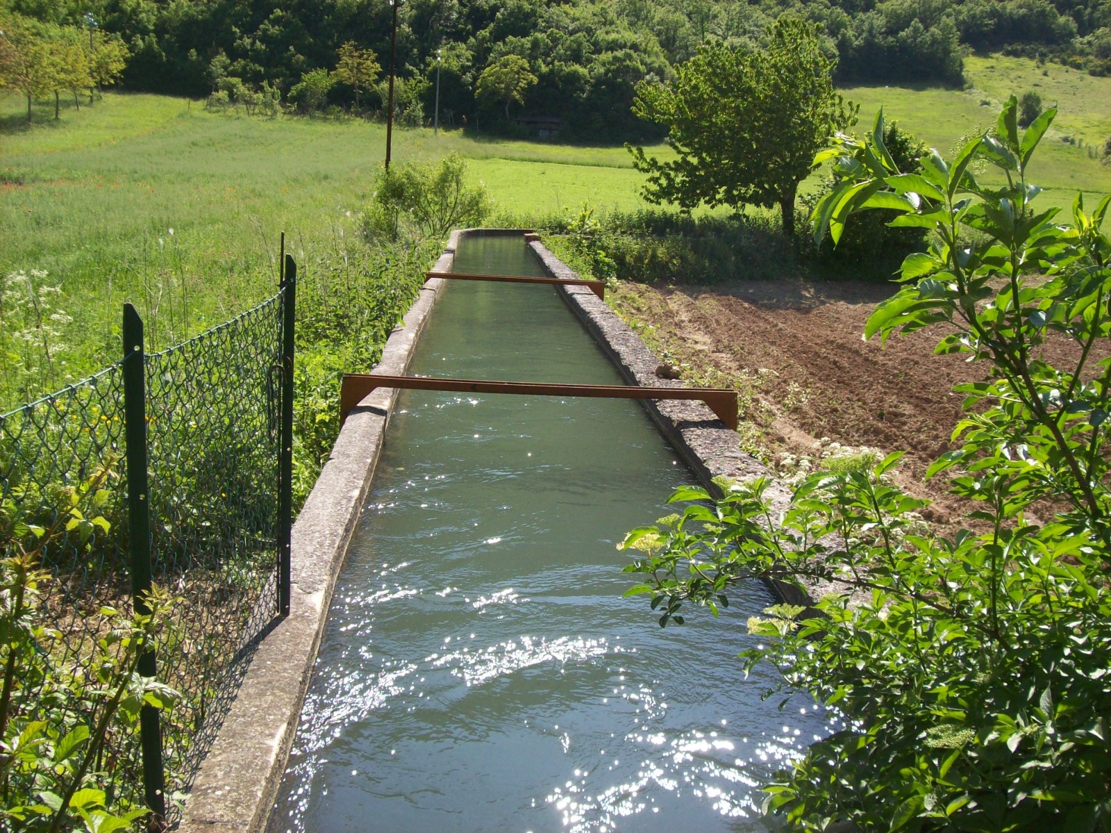 04_Canale2